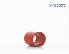 VMS 20077